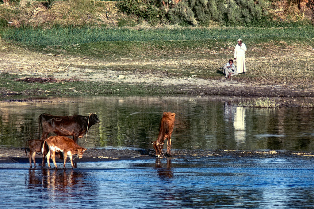 Climate Change & Crime: A big, bad, largely overlooked nexus 