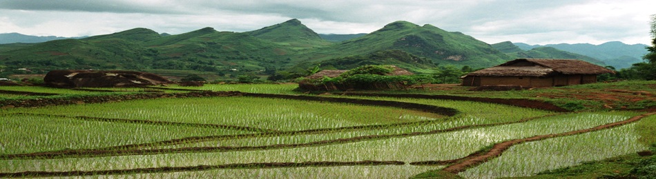 Climate risk report for the Southeast Asia region